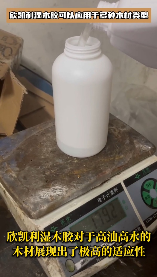 對于高油高水木材，欣凱利濕木膠展現出了極高的適應性